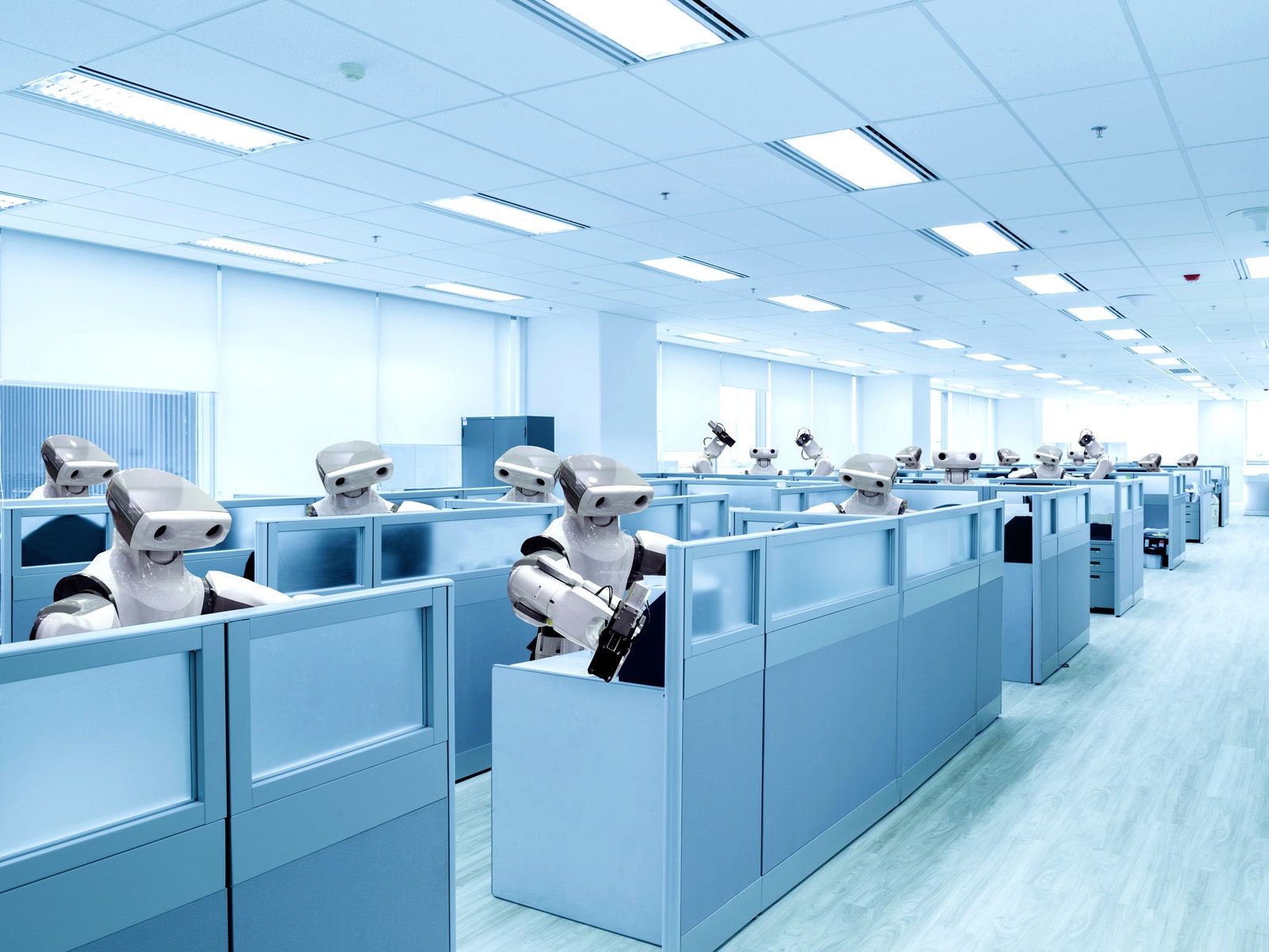 Why I’ll Never Be Replaced by a Robot
