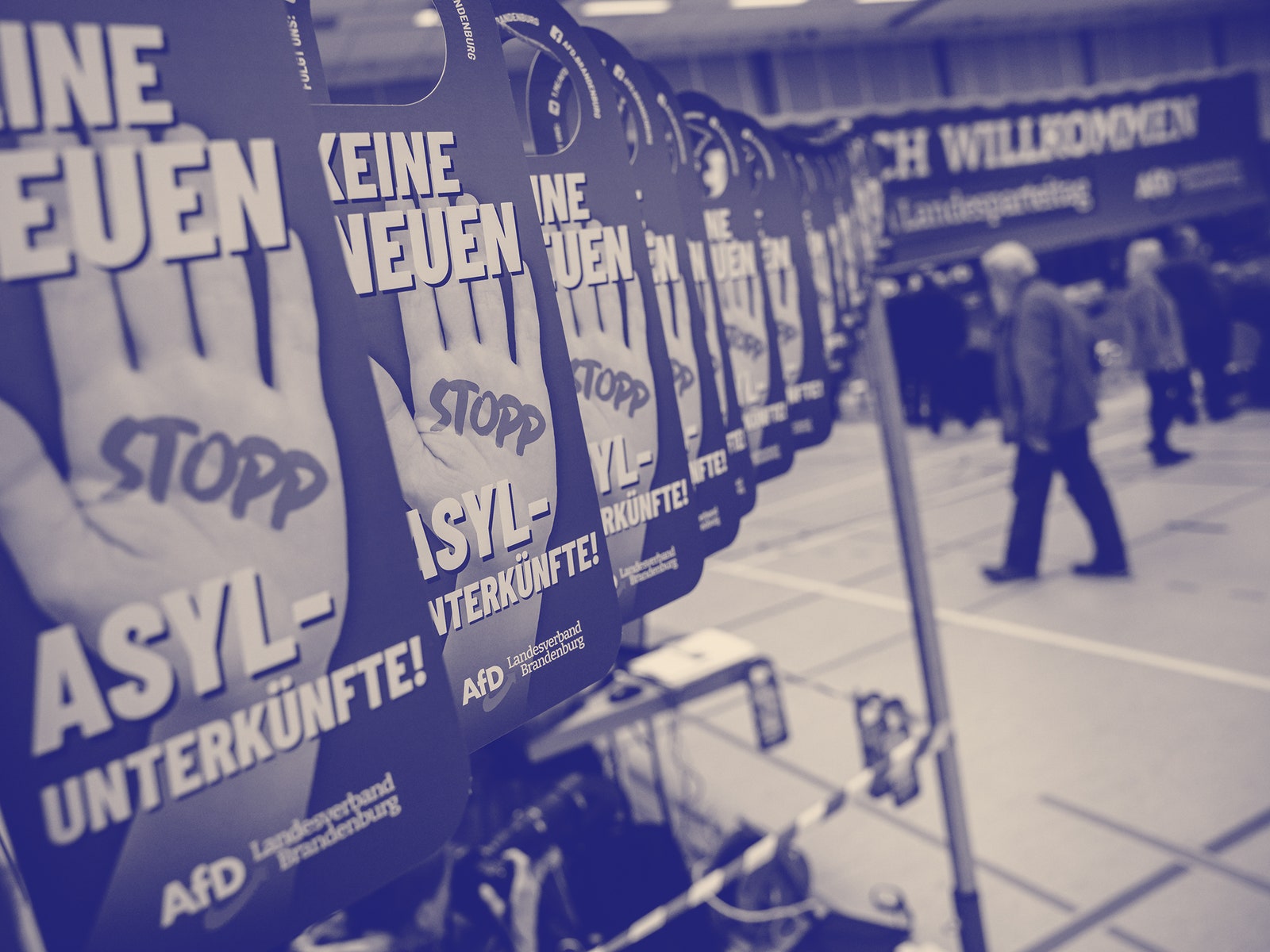 Tracking the Threats to German Democracy