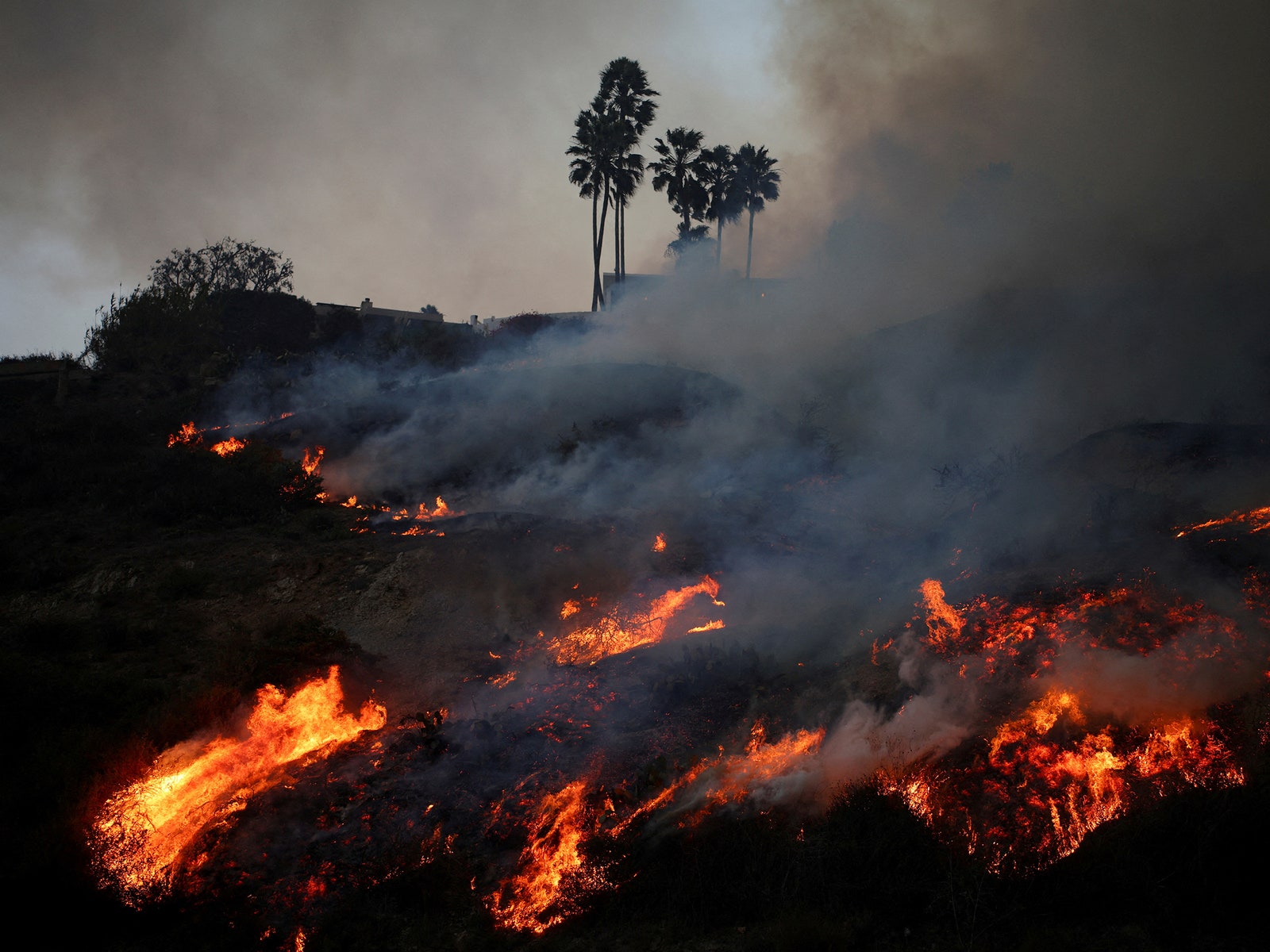 How Did the Los Angeles Fires Get So Out of Control?